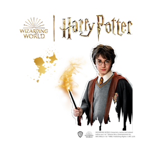SES - Harry Potter - Steine bemalen