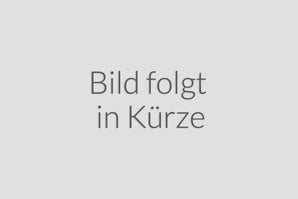Rietze incl.Anbauteilen H0 1:87 Setra Reisebus Werbemodell Zelltho