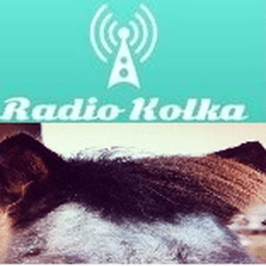 Radio Buxtehude